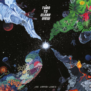 Front View : Joe Armon-Jones - TURN TO CLEAR VIEW (LP) - Brownswood / BWOOD207LP