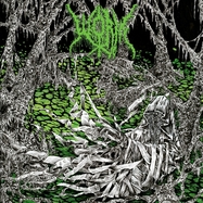 Front View : Worm - GLOOMLORD (LIM.SWAMP GREEN CLEAR VINYL) (LP) - 20 Buck Spin / SPIN 174LPC