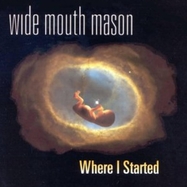 Front View : Wide Mouth Mason - WHERE I STARTED (LP) - Record Records / LPRRL3