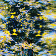 Front View : Chaton Laveur - LABYRINTHE (LP) - EXAG Records / XAG066LP