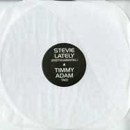 Front View : Stevie - LATELY (TIMMY REGISFORD & ADAM RIOS REMIX) - TA02t