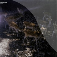 Front View : Cassegrain - TIAMAT (2x12 LP) - Prologue Music / prg030