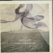 Front View : Snow Ghosts - A SMALL MURMURATION (LP) - Houndstooth / HTH006