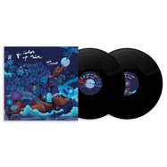 Front View : Aja Monet - THE COLOR OF RAIN (2LP) - Drink Sum Wtr / 00176284