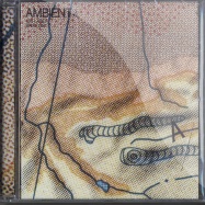 Front View : Brian Eno - AMBIENT 4 - ON LAND (CD) - Virgin Records / enocdx8
