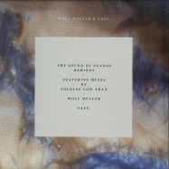 Front View : Wolf Mueller & Cass. - THE SOUND OF GLADES REMIXES (180 G VINYL) - International Feel / IFEEL058