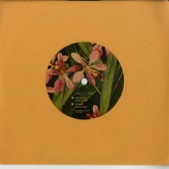Front View : Dyalla - COME MY WAY EP (7 INCH) - Yellow Flower / YF005