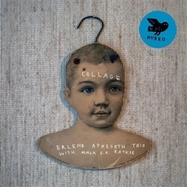 Front View : Erlend Apneseth Trio ft. Maja Ratkje - COLLAGE (LP) - Hubro / 00161007