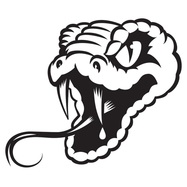 Front View : Unknown - SLICK VENOM 02 - SVX02