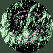 Front View : Various Artists - REASONS - Gorin / GRN004