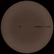 Front View : Adam Feingold - NOTHING IS A FIELD - Temple / TMPL009