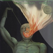 Front View : Bruce Cockburn - Stealing fire (LP, 180 gr + MP3) - High Romance Music / 3800027