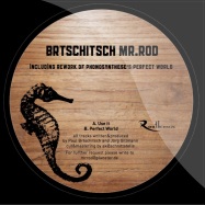 Front View : Brtschitsch/ Mr. Rod - USE IT / PERFECT WORLD! (WOOD LABELS) - Rootknox / ROOTVD006