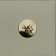 Front View : Ben Buitendijk - TRANSCENDED BEING EP - Oblique Music / OBQ004RP
