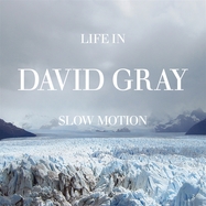 Front View : David Gray - LIFE IN SLOW MOTION (LP) - IHT Records / 00172729