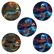 Front View : Louie Vega, Various Artists - VEGA RECORDS 5 PACK UNRELEASED VI (5LP) - Vega Records / VRADE25