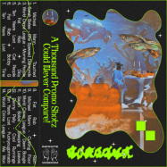 Front View : Various Artists - A THOUSAND PROMO SHOTZ COULD NEVER COMPARE (TAPE / CASSETTE) - Infinite Wisdom / IW003
