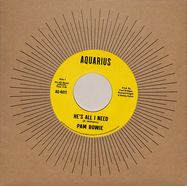 Front View : Pam Bowie - HES ALL I NEED / EVERLASTING LOVE (7 INCH) - Aquarius / AQ4011