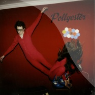 Front View : Pollyester - EARTHLY POWERS (LP) - Permanent Vacation / permvac079-1