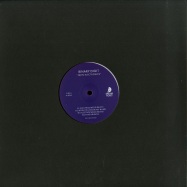 Front View : Binary Digit - 38490 ELECTRONICS (VINYL ONLY) - Dream Ticket / DT001
