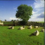 Front View : KLF - CHILL OUT (CLEAR LP) - KLF Communications / JAMSLP5