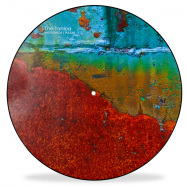 Front View : The Tonica - ANDROMEDA (ONE SIDED PICTURE DISC) - Tonica / TONICA001