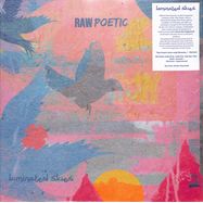Front View : Raw Poetic & Damu The Fudgemunk - LAMINATED SKIES (LP) - Def Presse / DFPROM12LP