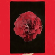 Front View : Activity - A THOUSAND YEARS IN ANOTHER WAY (LP) - Western Vinyl / 00169858