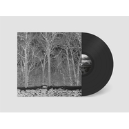 Front View : Pile - SUNSHINE AND BALANCE BEAMS (LP) - Sooper Records / 00170237