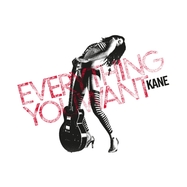 Front View : Kane - EVERYTHING YOU WANT (LP) - MUSIC ON VINYL / MOVLP3971