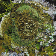 Front View : Kinzua - NEVER FRET, NEVER FAIL EP - Confusion Is Next To Happiness / CINTH002