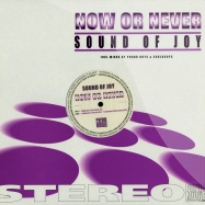Front View : Sound Of Joy - NOW OR NEVER - Purple Music / pm014