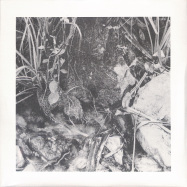 Front View : J Campbell - THE CORMORANT (LP) - VAKNAR / VAK47-LP