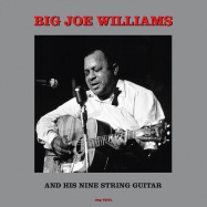 Front View : Big Joe Williams - AND HIS NINE STRING GUITAR - Not Now / CATLP231