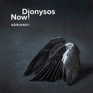 Front View : Dionysos Now! - ADRIANO 4 (2LP) - Evil Penguin / EPRC51