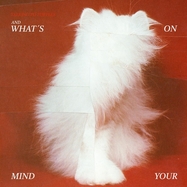 Front View : Talking To Turtles - AND WHAT S ON YOUR MIND (LP) - Krokant / 05240971