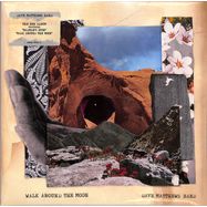 Front View : Dave Matthews Band - WALK AROUND THE MOON (LP) - Pias-Ato Uk / 39156401