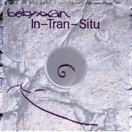 Front View : babyxxan - IN- TRAN - SITU (LP) - Public Possession / PP091