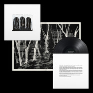 Front View : These New Puritans - CROOKED WING (LP) - Domino Records / WIGLP553