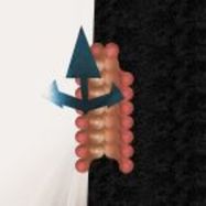 Front View : Wata Igarashi & Polygonia - CROSS PASSAGE (RED AND WHITE MARBLED VINYL) - Reclaim Your City / RYCL024