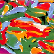 Front View : Auntie Flo - BIRDS OF PARADISE - A State Of Flo / ASOF010V