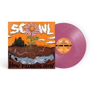 Front View : Scowl - HOW FLOWERS GROW (LP) (VIOLET GLITTER) - Flatspot Records / 843563196540