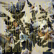 Front View : Salo - HARDCORE (LP) - PHAT PENGUIN RECORDS / PP30