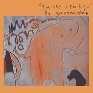 Front View : Graham Coxon - THE SKY IS TOO HIGH (LP) - TRANSGRESSIVE / TRANSX931