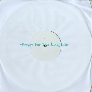 Front View : DJ F / Acid Future Overdose - PFTLL02 - Prayers For The Long Life / PFTLL002