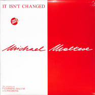 Front View : Michael Maltese - IT ISN T CHANGED - Zyx Music / MAXI 1038-12