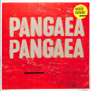 Front View : Patrick Richardt - PANGAEA, PANGAEA (180G LP) - Snowhite / 401893940250