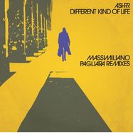 Front View : Ashrr - DIFFERENT KIND OF LIFE (MASSIMILIANO PAGLIARA REMIXES) - 2020 Vision / ASHRR 04