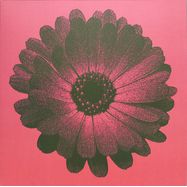 Front View : ZG - INTO THE UNKNOWN (LP) - Pacific Rhythm / PR020