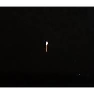 Front View : Sault - CHAPTER 1 (LP) - Forever Living Originals / FLO00022LP